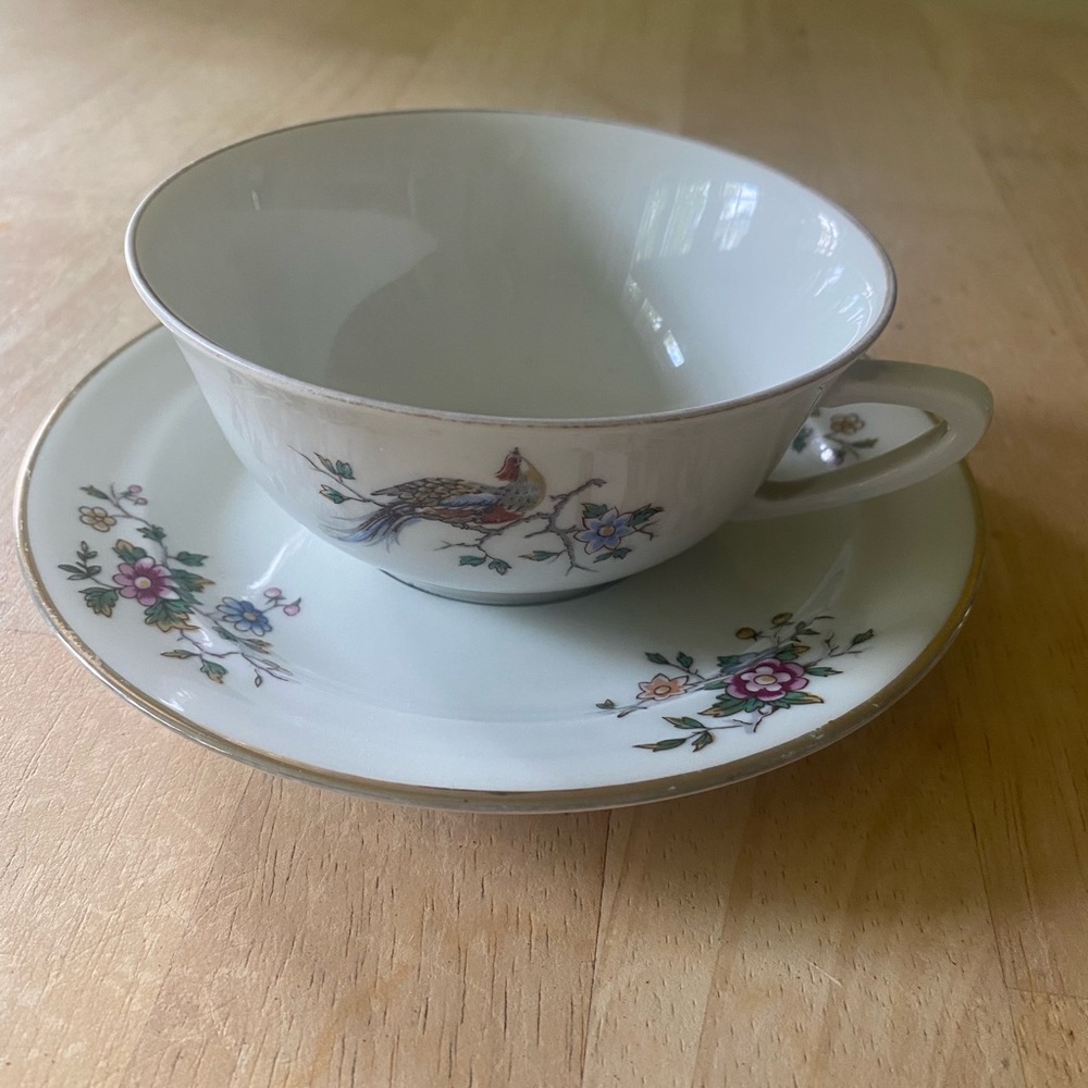 Pillivuyt France porcelain tea cup and saucer. Circa 1860. Hand painted.